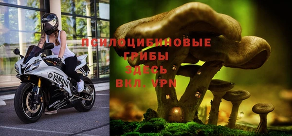 бошки Абдулино
