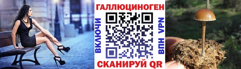Псилоцибиновые грибы Magic Shrooms Советск