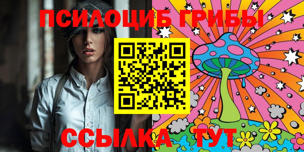Советск  Псилоцибиновые грибы MAGIC MUSHROOMS  Вход с VPN 